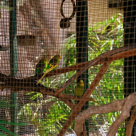 Oscar Seaside & By Club Aquarium 4* Guvercinlik (Bodrum)