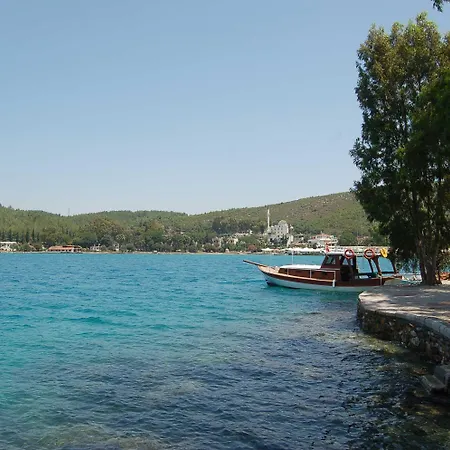 Oscar Seaside & By Club Aquarium Hotel