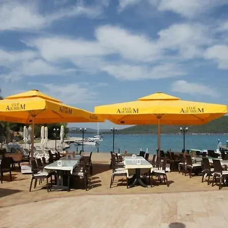 Oscar Seaside & By Club Aquarium