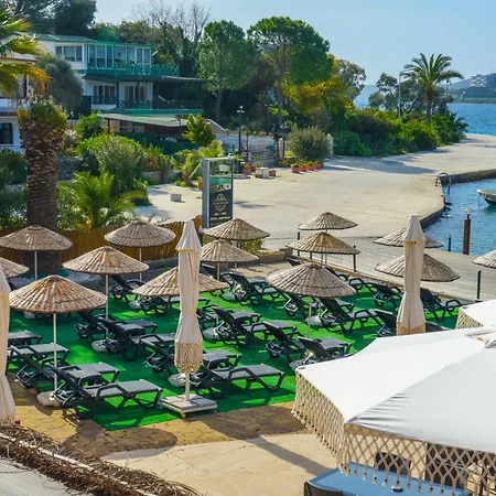 Otel Oscar Seaside & By Club Aquarium Güvercinlik