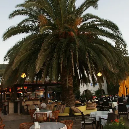 Hotel Oscar Seaside & By Club Aquarium