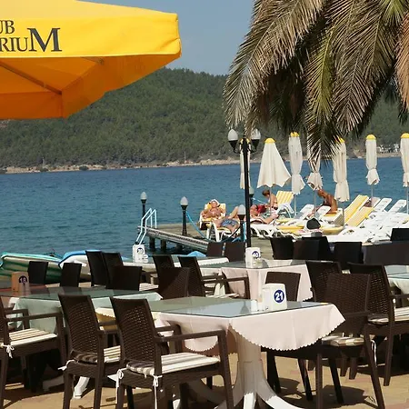 Club Aquarium &