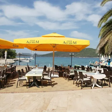 Oscar Seaside & By Club Aquarium