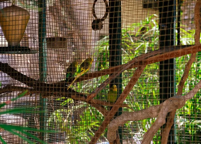 Oscar Seaside & By Club Aquarium 4* Güvercinlik