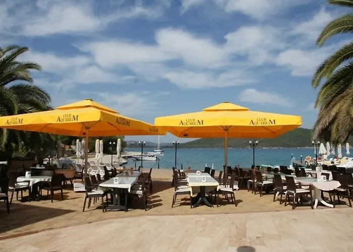 Oscar Seaside & By Club Aquarium