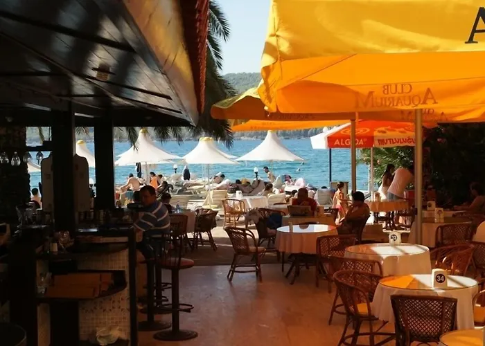 Hotel Oscar Seaside & By Club Aquarium