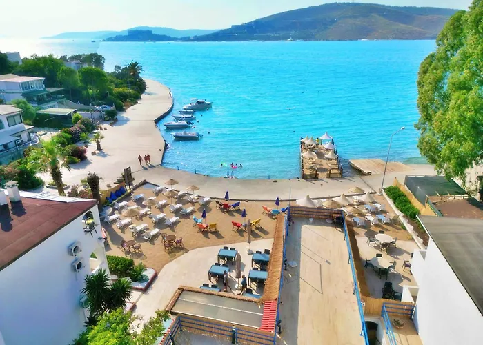 Oscar Seaside & By Club Aquarium