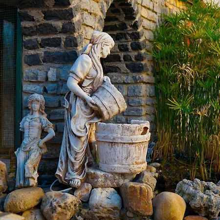 Oscar Seaside & By Club Aquarium Guvercinlik (Bodrum)