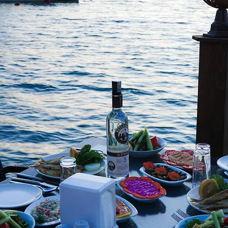 Hotel Oscar Seaside & By Club Aquarium 4*