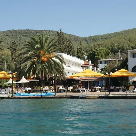 Oscar Seaside & Guvercinlik