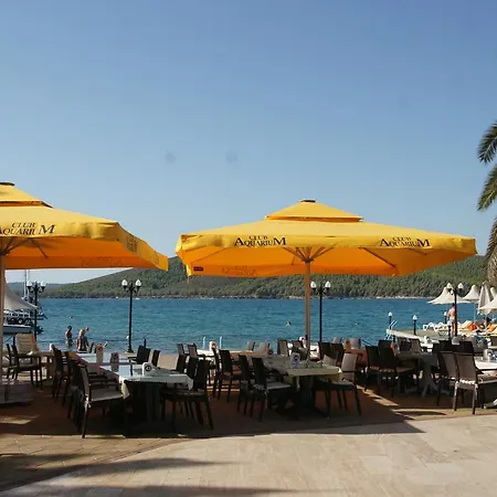 Hotel Oscar Seaside & By Club Aquarium