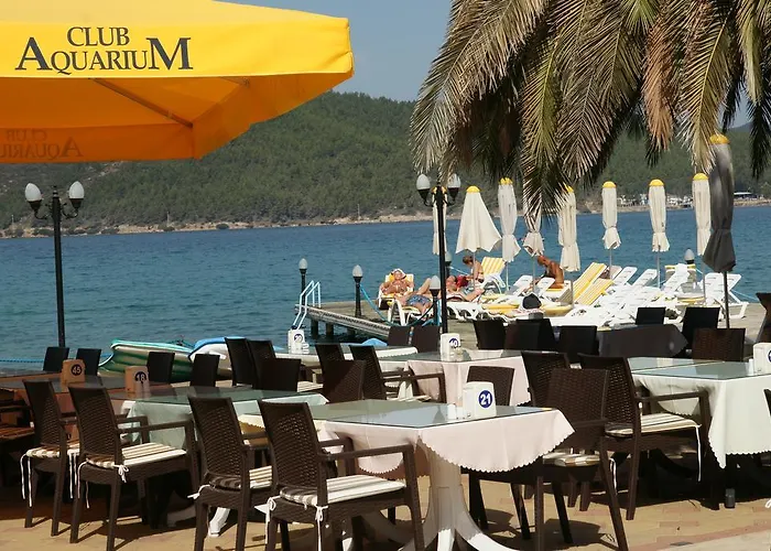 Oscar Seaside & By Club Aquarium